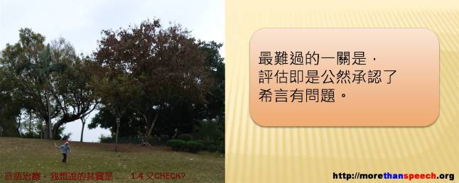 morethanspeech_pix_1.4